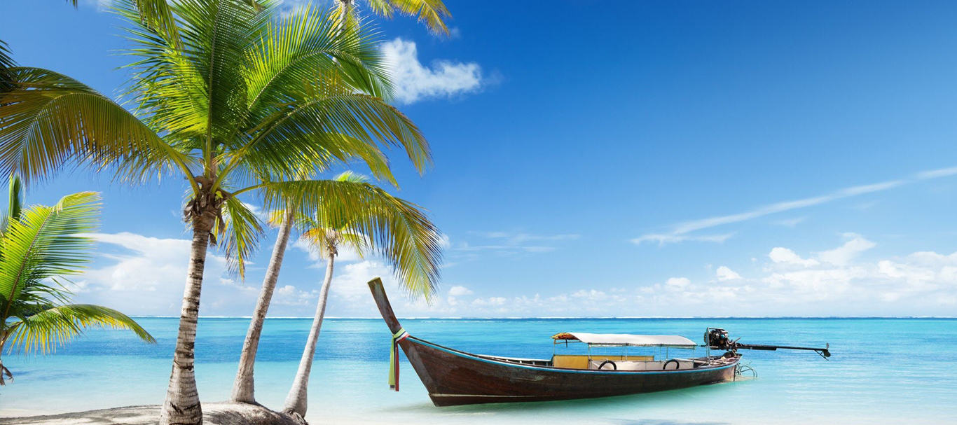 banner image5