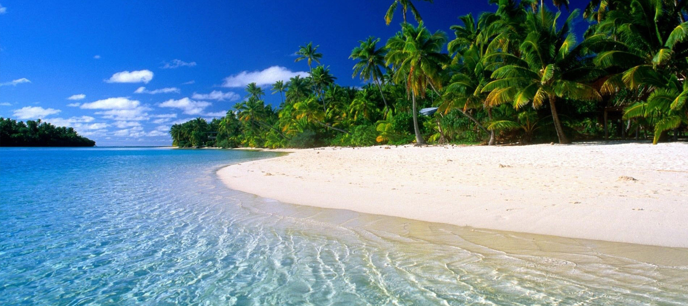 banner image3